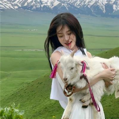 韩国泪的小花